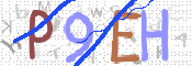 CAPTCHA (Şahıs Denetim Kodu) Resmi