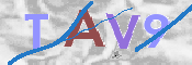 CAPTCHA (Şahıs Denetim Kodu) Resmi